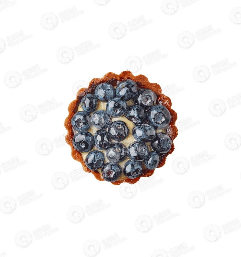 Close-up of a blueberry tart with a golden crust.