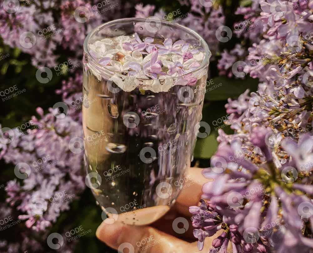 A glass of sparkling water with lilac flowers inside, surrounded by blooming lilacs.